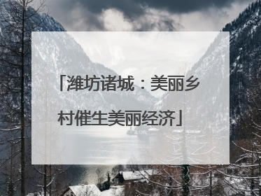 潍坊诸城：美丽乡村催生美丽经济