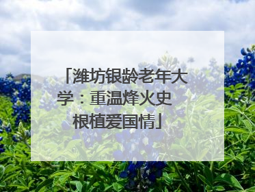 潍坊银龄老年大学：重温烽火史 根植爱国情
