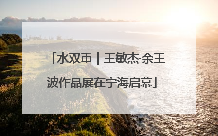 水双重｜王敏杰·余王波作品展在宁海启幕