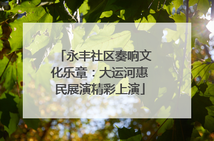 永丰社区奏响文化乐章：大运河惠民展演精彩上演