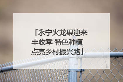 永宁火龙果迎来丰收季 特色种植点亮乡村振兴路