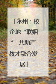 永州：校企地“联姻” 共助产教才融合发展