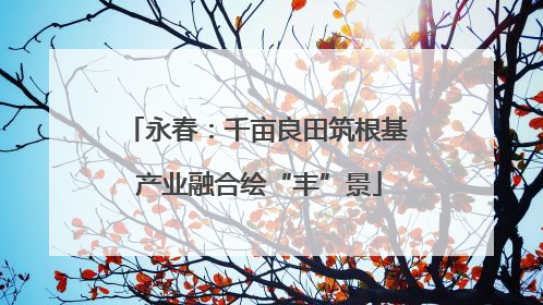 永春：千亩良田筑根基 产业融合绘“丰”景