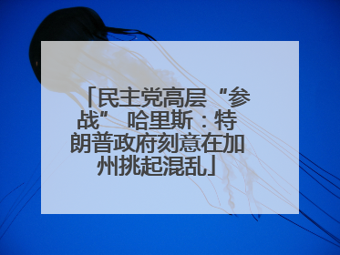 民主党高层“参战” 哈里斯：特朗普政府刻意在加州挑起混乱