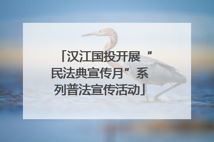 汉江国投开展“民法典宣传月”系列普法宣传活动