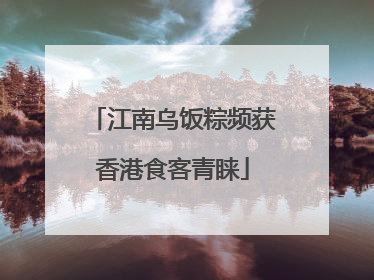 江南乌饭粽频获香港食客青睐