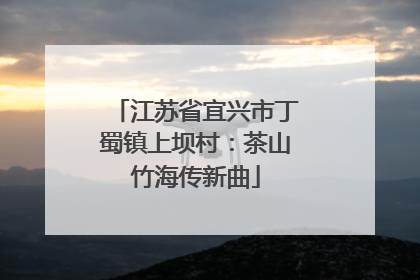 江苏省宜兴市丁蜀镇上坝村：茶山竹海传新曲