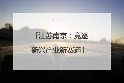 江苏南京：竞逐新兴产业新赛道