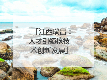江西瑞昌：人才引领核技术创新发展