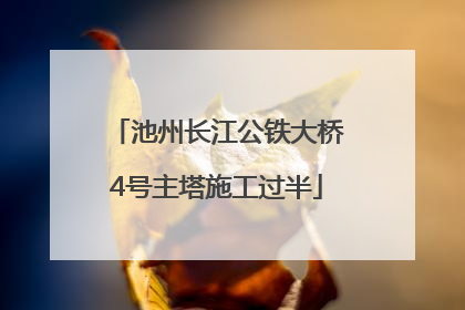 池州长江公铁大桥4号主塔施工过半