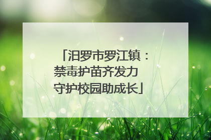 汨罗市罗江镇：禁毒护苗齐发力 守护校园助成长