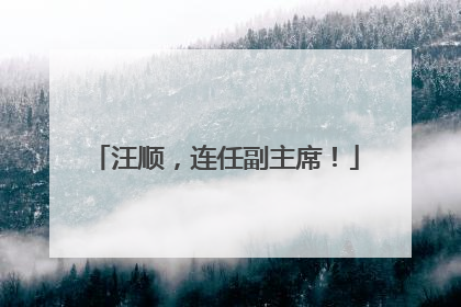 汪顺，连任副主席！