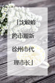 沈峻峰跨市履新徐州市代理市长