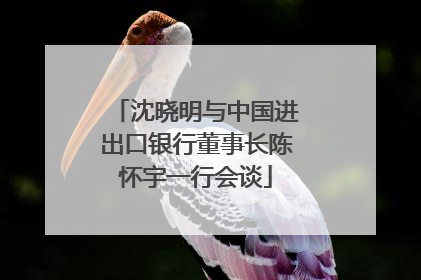 沈晓明与中国进出口银行董事长陈怀宇一行会谈