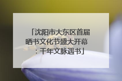 沈阳市大东区首届晒书文化节盛大开幕：千年文脉遇书