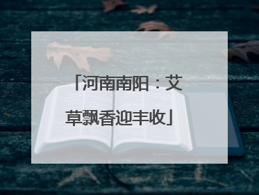 河南南阳：艾草飘香迎丰收