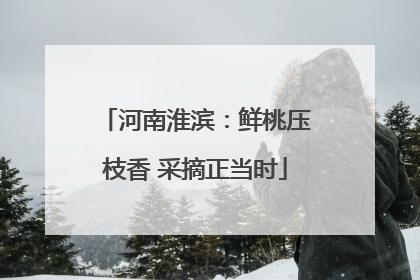 河南淮滨：鲜桃压枝香 采摘正当时