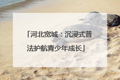 河北宽城：沉浸式普法护航青少年成长