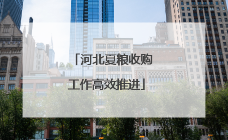 河北夏粮收购工作高效推进