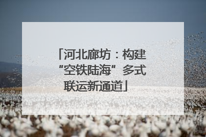 河北廊坊：构建“空铁陆海”多式联运新通道