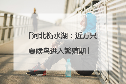 河北衡水湖：近万只夏候鸟进入繁殖期