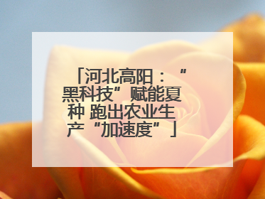 河北高阳：“黑科技”赋能夏种 跑出农业生产“加速度”