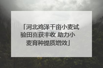 河北鸡泽千亩小麦试验田喜获丰收 助力小麦育种提质增效