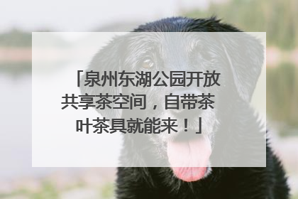 泉州东湖公园开放共享茶空间，自带茶叶茶具就能来！