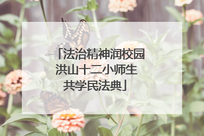 法治精神润校园 洪山十二小师生共学民法典