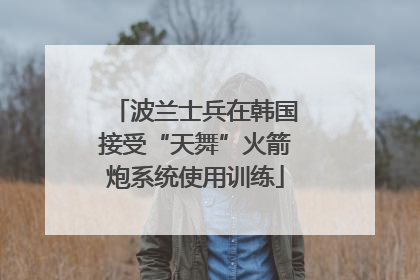 波兰士兵在韩国接受“天舞”火箭炮系统使用训练