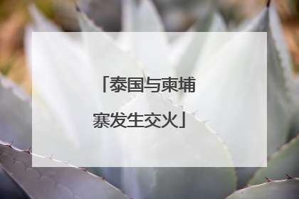 泰国与柬埔寨发生交火