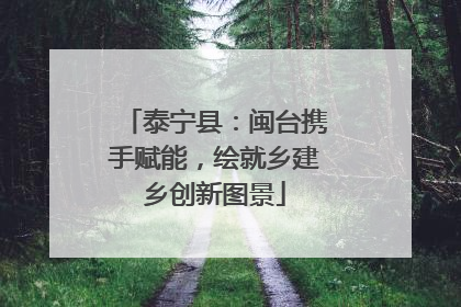 泰宁县：闽台携手赋能，绘就乡建乡创新图景