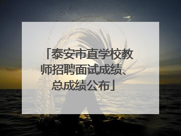 泰安市直学校教师招聘面试成绩、总成绩公布