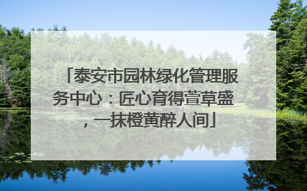 泰安市园林绿化管理服务中心：匠心育得萱草盛，一抹橙黄醉人间