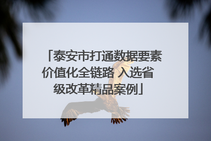 泰安市打通数据要素价值化全链路 入选省级改革精品案例