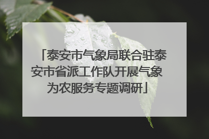 泰安市气象局联合驻泰安市省派工作队开展气象为农服务专题调研