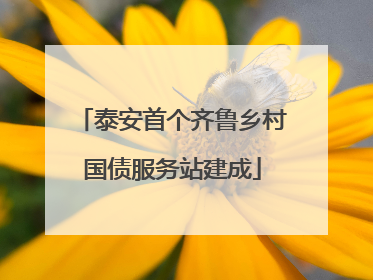 泰安首个齐鲁乡村国债服务站建成