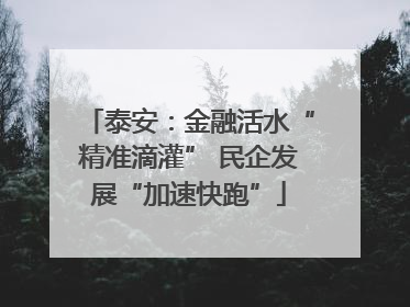 泰安：金融活水“精准滴灌” 民企发展“加速快跑”