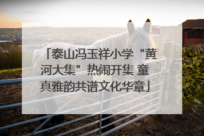 泰山冯玉祥小学“黄河大集”热闹开集 童真雅韵共谱文化华章