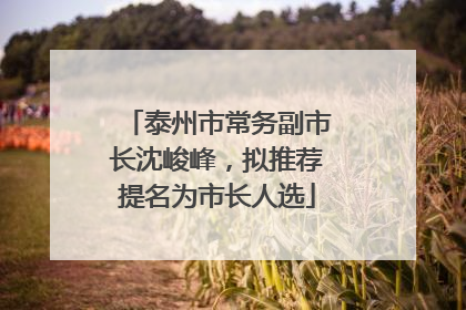 泰州市常务副市长沈峻峰，拟推荐提名为市长人选