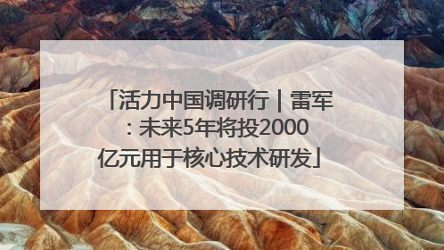 活力中国调研行｜雷军：未来5年将投2000亿元用于核心技术研发