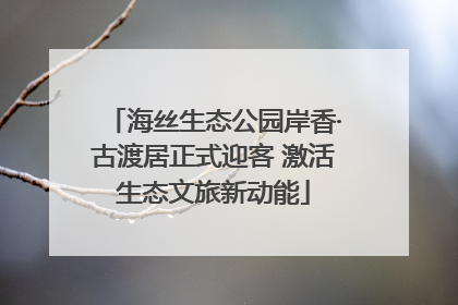 海丝生态公园岸香·古渡居正式迎客 激活生态文旅新动能