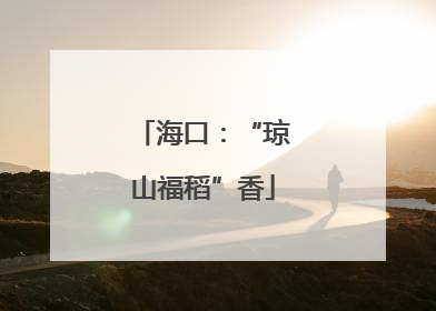 海口：“琼山福稻”香