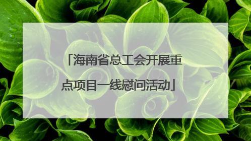 海南省总工会开展重点项目一线慰问活动