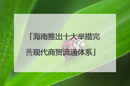 海南推出十大举措完善现代商贸流通体系