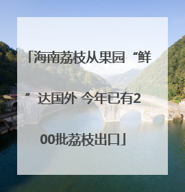 海南荔枝从果园“鲜”达国外 今年已有200批荔枝出口