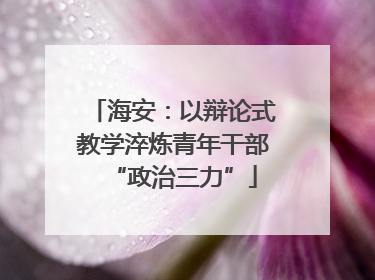 海安：以辩论式教学淬炼青年干部“政治三力”
