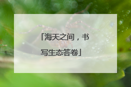 海天之间，书写生态答卷