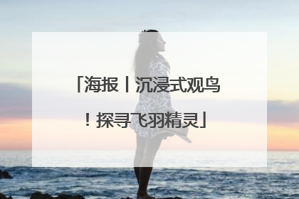 海报丨沉浸式观鸟！探寻飞羽精灵