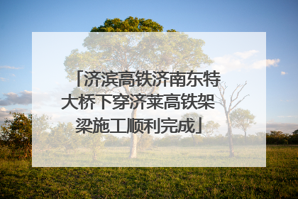 济滨高铁济南东特大桥下穿济莱高铁架梁施工顺利完成